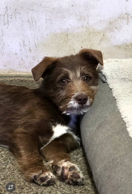 Wednesday Surprise : Stu Image