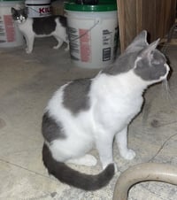 Momma March - Photo 3