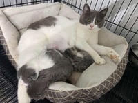 Momma March - Photo 4
