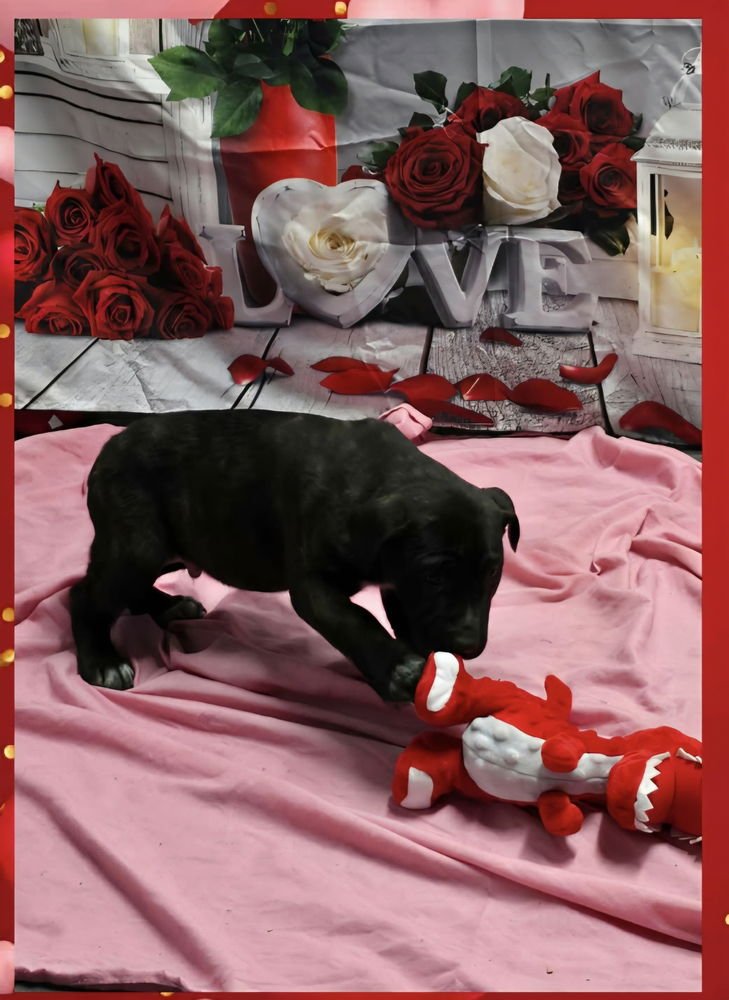 Marion Bs : Booker - Photo 3