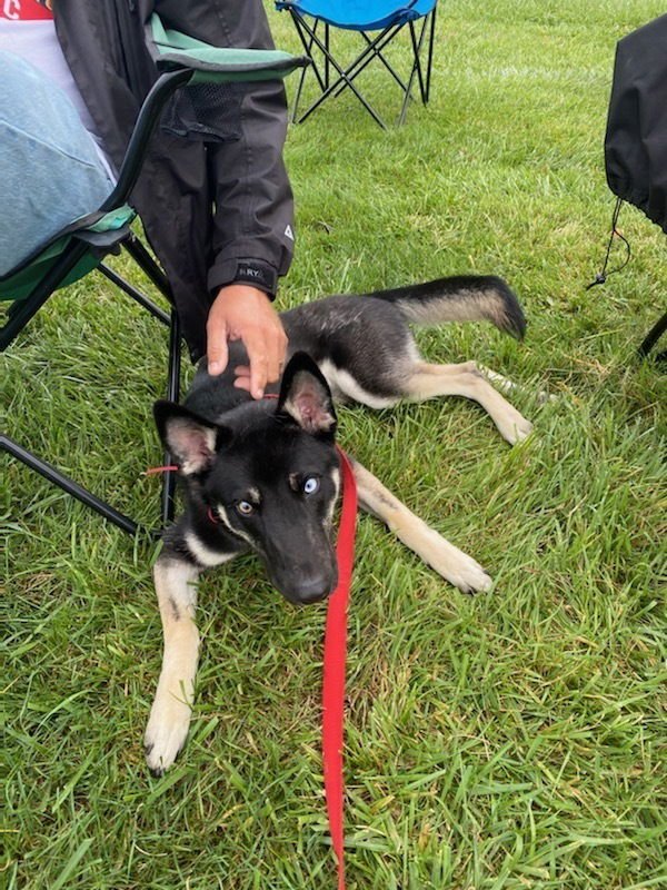 CD:Buddy Boy - Photo 3