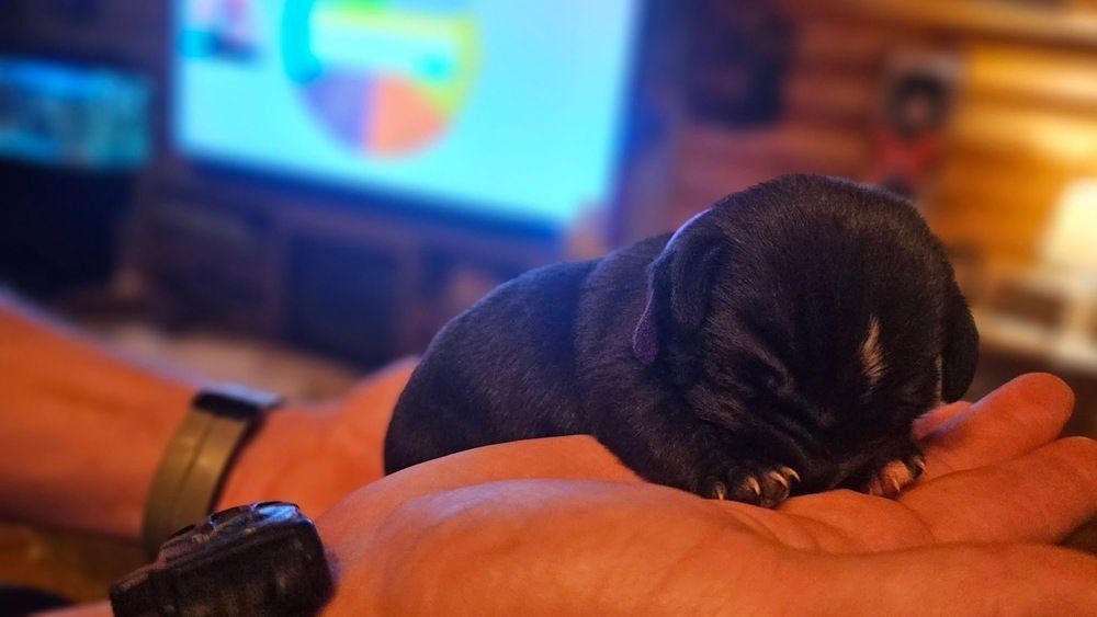 Nature Crew : Brooke - Photo 3