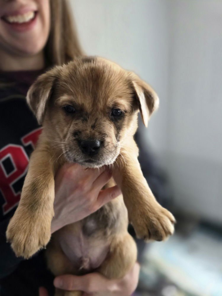 Ladybirds : Uno - Photo 3