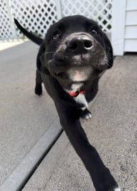 Connecticut : Derby - Photo 4