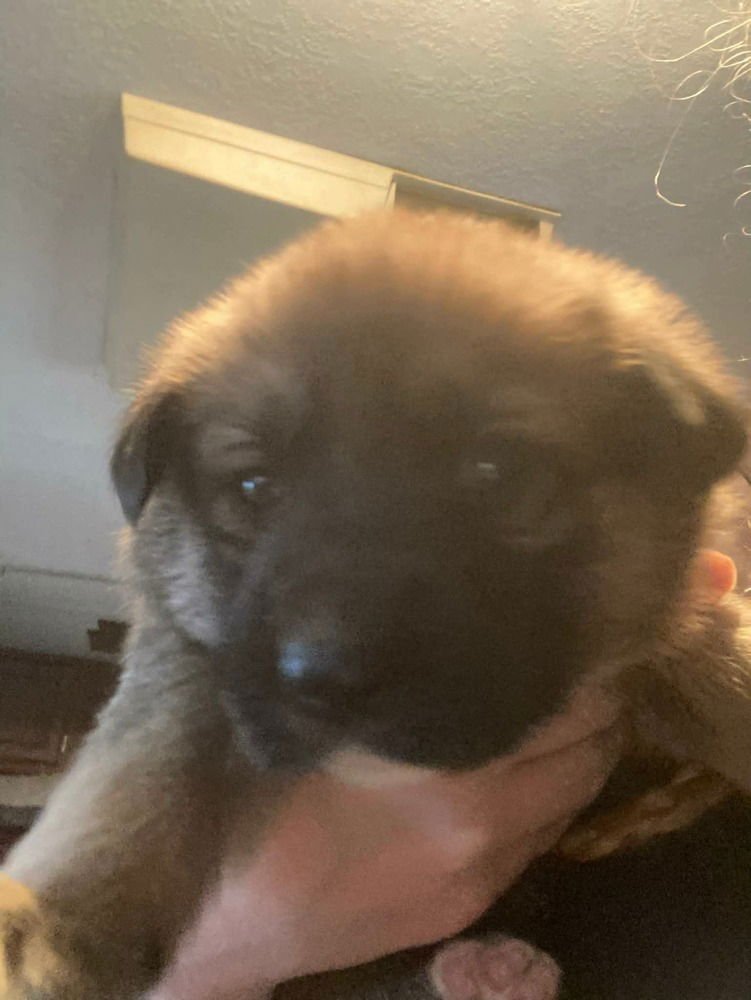 Colorado : Holly - Photo 3