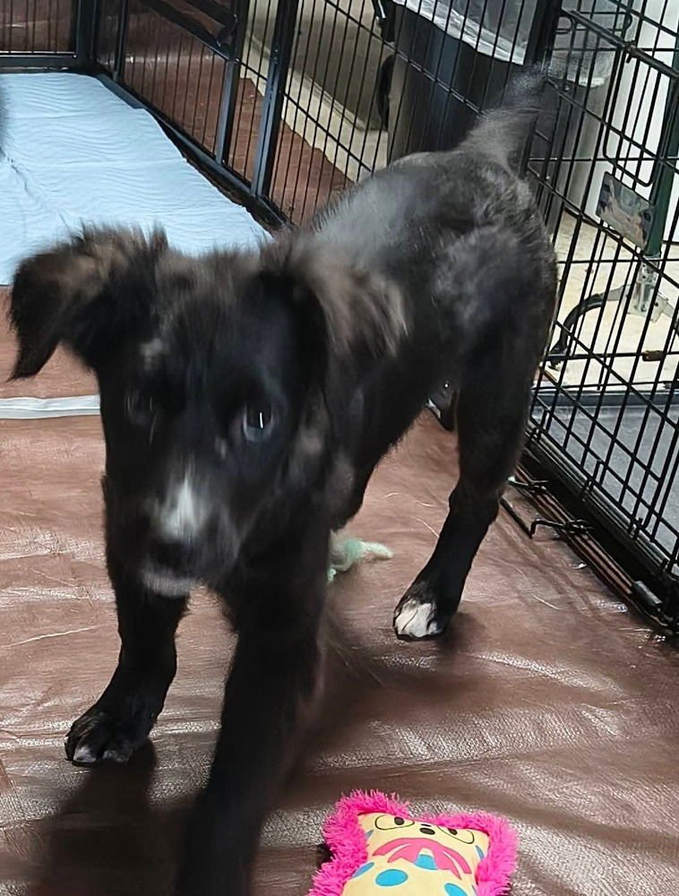 Garbage Pail Kids : Cliff Hanger - Photo 3