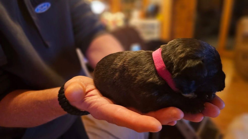 Nature Crew : Rain - Photo 3