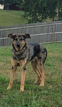 Mister Bean - Photo 3