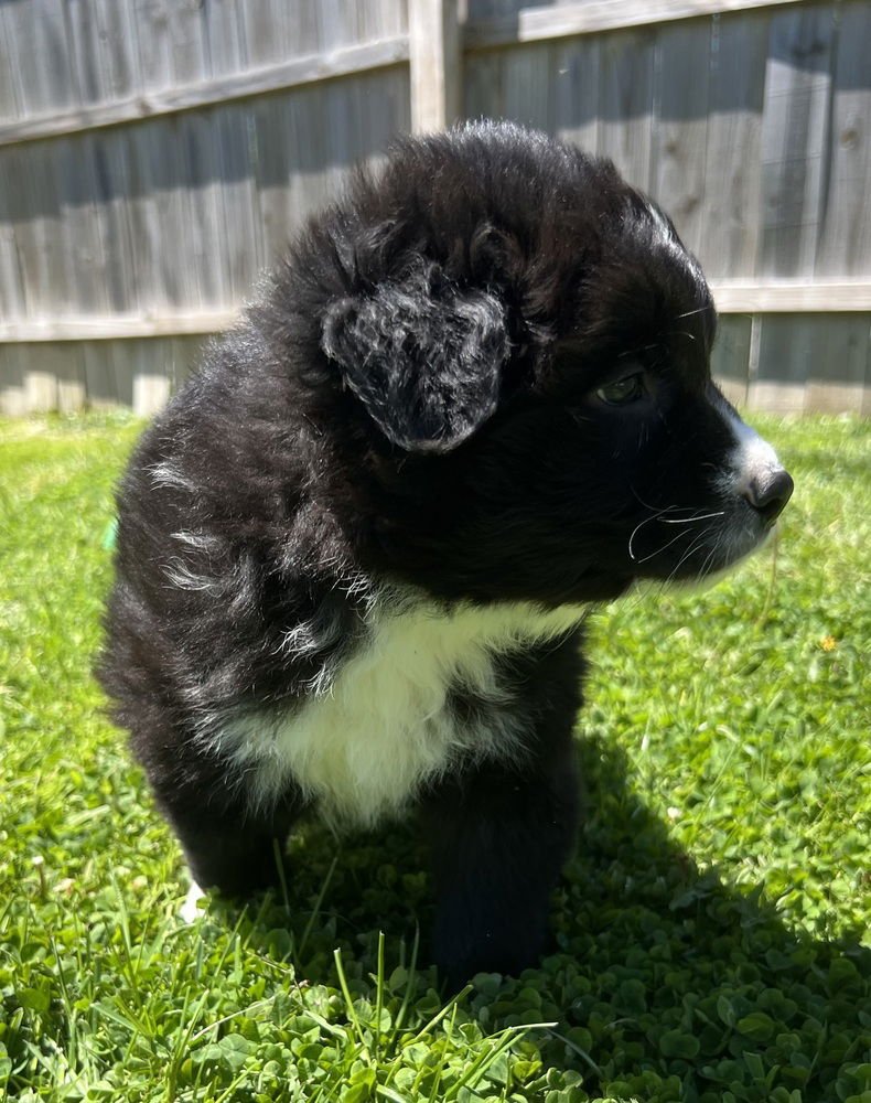 R for : Riley - Photo 3