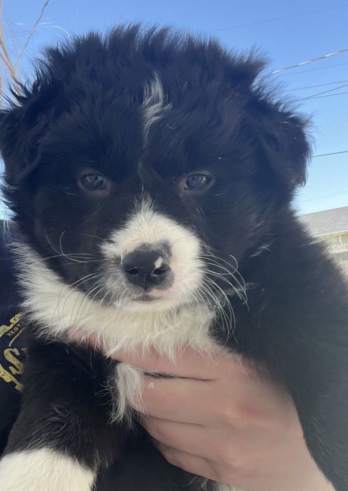 R for : Riley - Photo 4