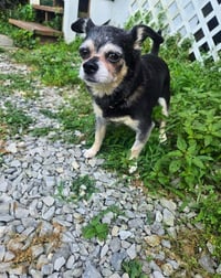 Jackson Roo - Photo 1