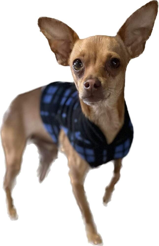 Mario Bros : Mario - Photo 3