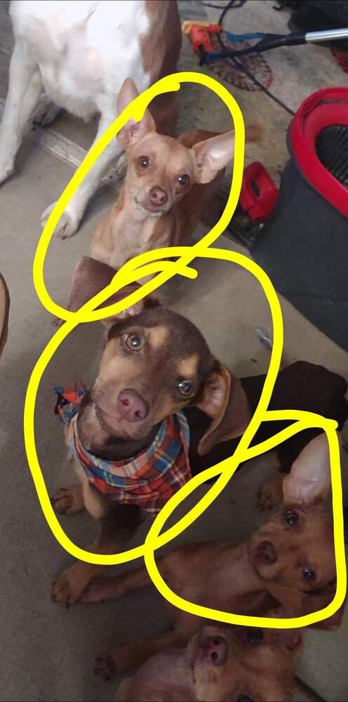 Mario Bros : Mario - Photo 4