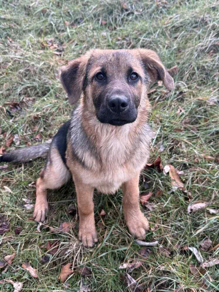 Miss Daisy May - Photo 3