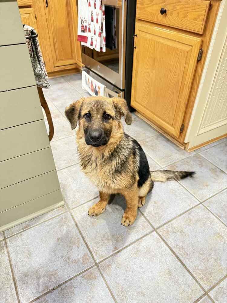 Miss Daisy May - Photo 4