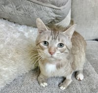 Masons : Rex - Photo 1