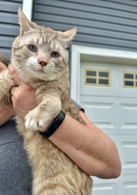 Masons : Rex - Photo 3