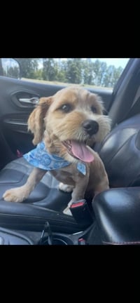 Odie Tzu - Photo 4
