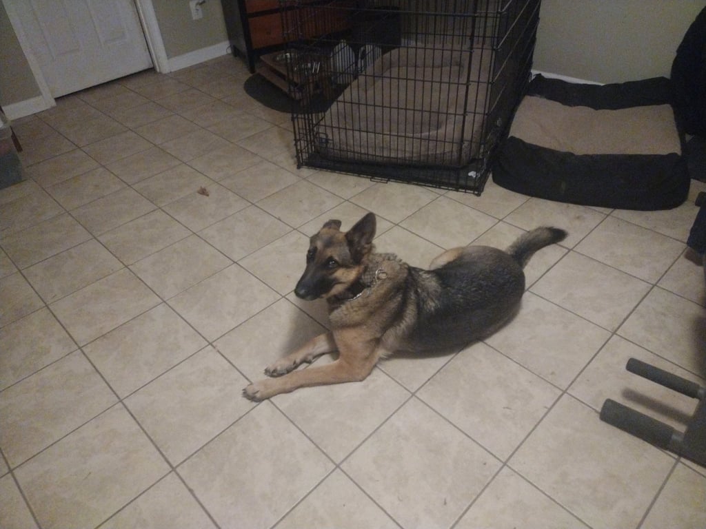 LILLY 2 (COURTESY POST) Image