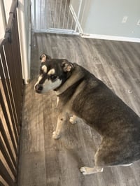 MAVERICK (COURTESY POST) - Photo 2