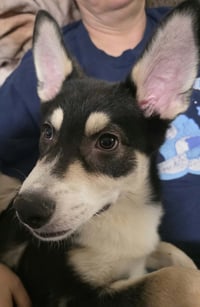 Bolt 2 - Photo 3