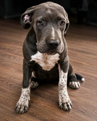 Annalisa - Photo 1