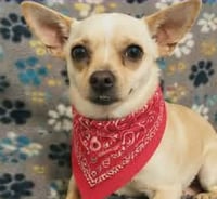 Churro - Photo 1