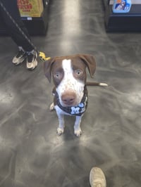 Huxley - Photo 13