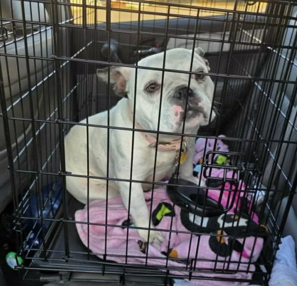 Jasmine JC in MS - Photo 3