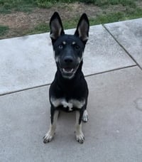 Kira - Photo 2