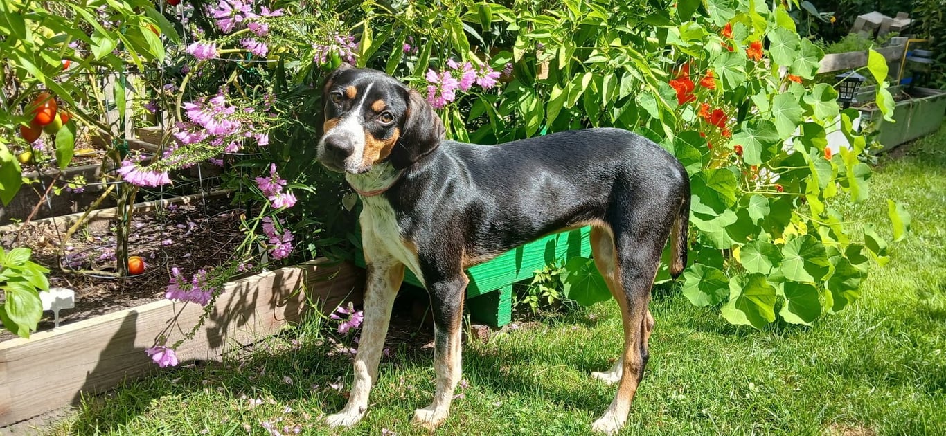 Mable - BO Image