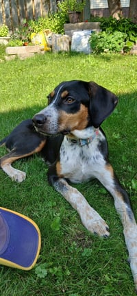 Mable - BO - Photo 3