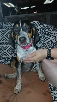 Mable - BO - Photo 4