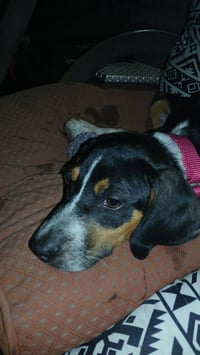 Mable - BO - Photo 5