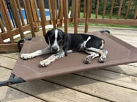 Buddy - BO - Photo 1