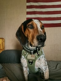 Mack - Photo 1