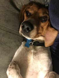 Benny - Photo 9