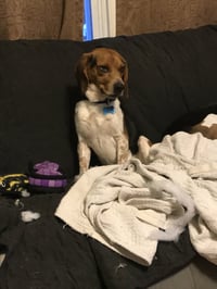 Benny - Photo 6