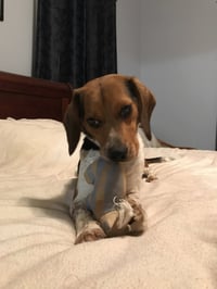 Benny - Photo 8