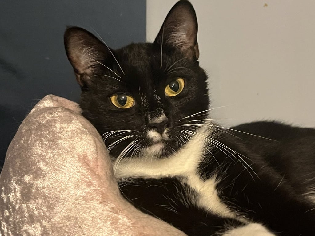 Sabrina Image