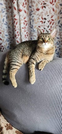 Lilly - AD - Photo 1