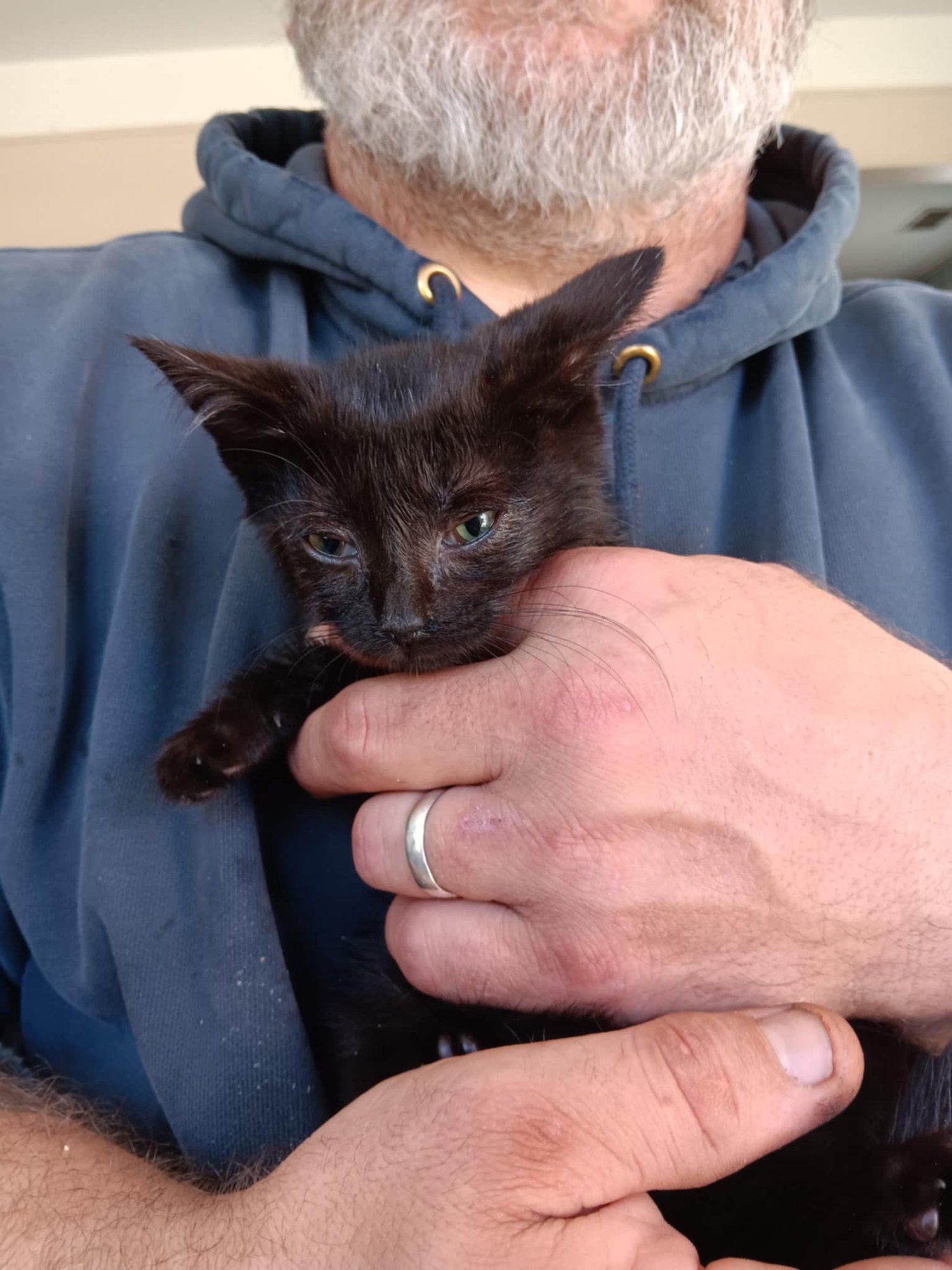 Gremlin BI - Photo 3