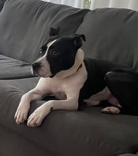 Kane - Photo 6