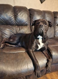 Oscar - Photo 10