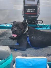 Oscar - Photo 6