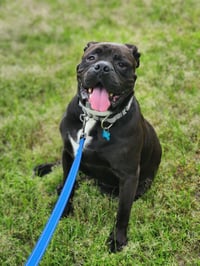 Oscar - Photo 18