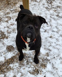 Oscar - Photo 15