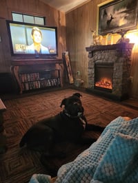 Oscar - Photo 17