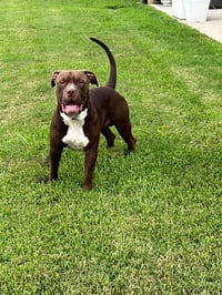 Hugo - Photo 9