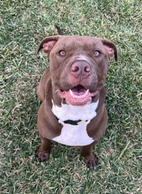 Hugo - Photo 3